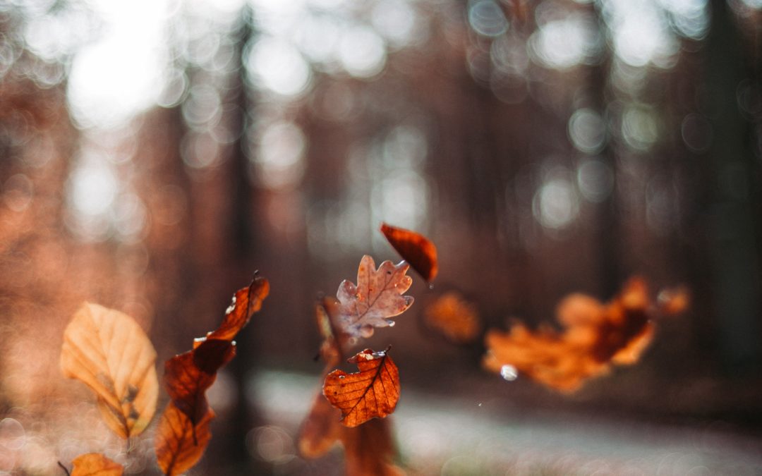 SAD: Seasonal Affective Disorder, Your Mood and You!
